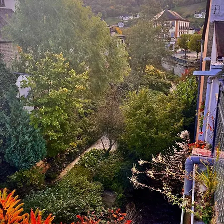 Moseltraeubchen Apartment Enkirch
