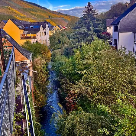 Moseltraeubchen Apartment Enkirch
