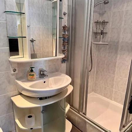 Apartmán Moseltraeubchen *